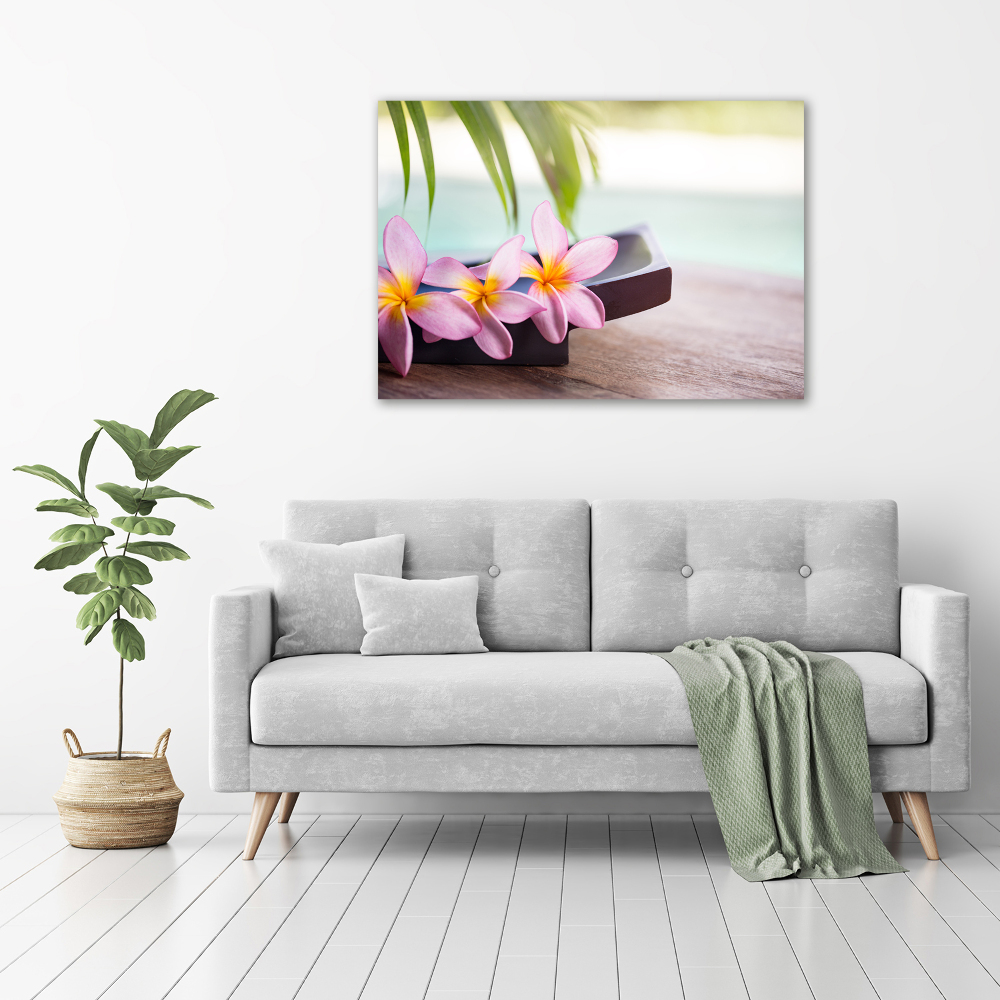 Tablou pe pânză canvas plumeria