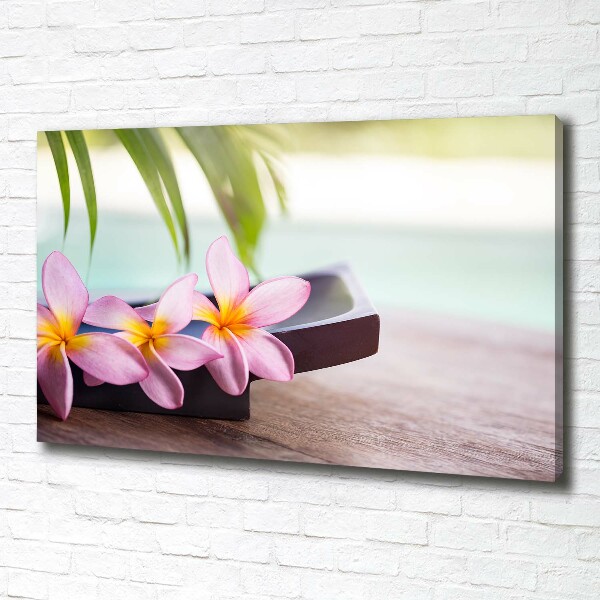 Tablou pe pânză canvas plumeria