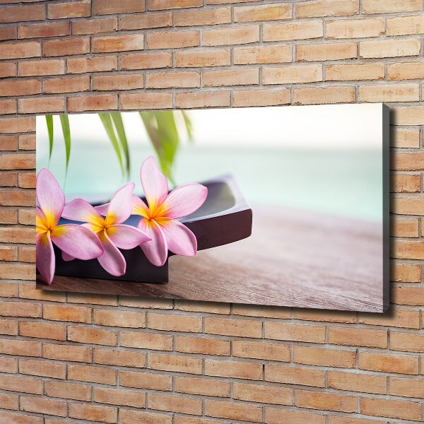 Tablou pe pânză canvas plumeria