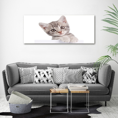Imprimare tablou canvas pisică gri