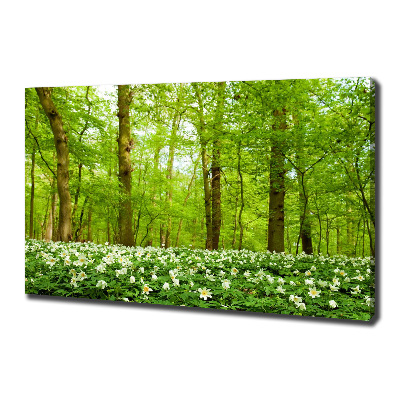 Tablou canvas Flori în pădure