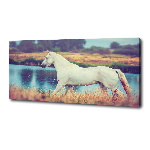 Tablou canvas White Lake Horse