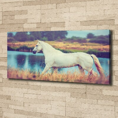 Tablou canvas White Lake Horse