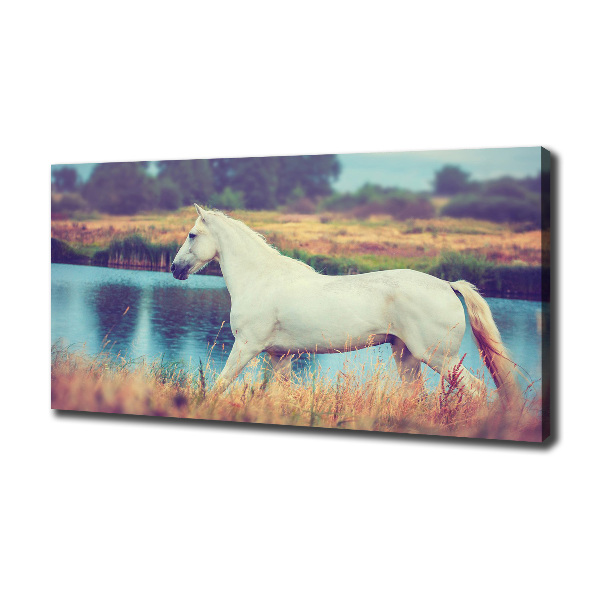 Tablou canvas White Lake Horse