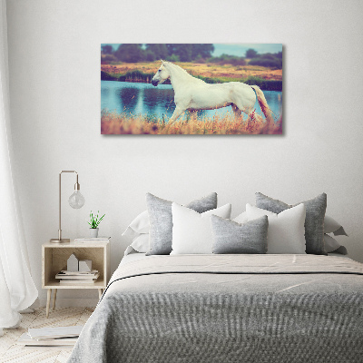 Tablou canvas White Lake Horse