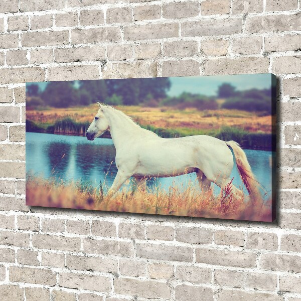 Tablou canvas White Lake Horse