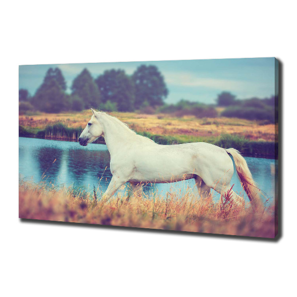 Tablou canvas White Lake Horse