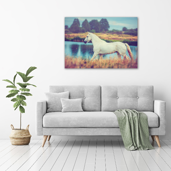 Tablou canvas White Lake Horse