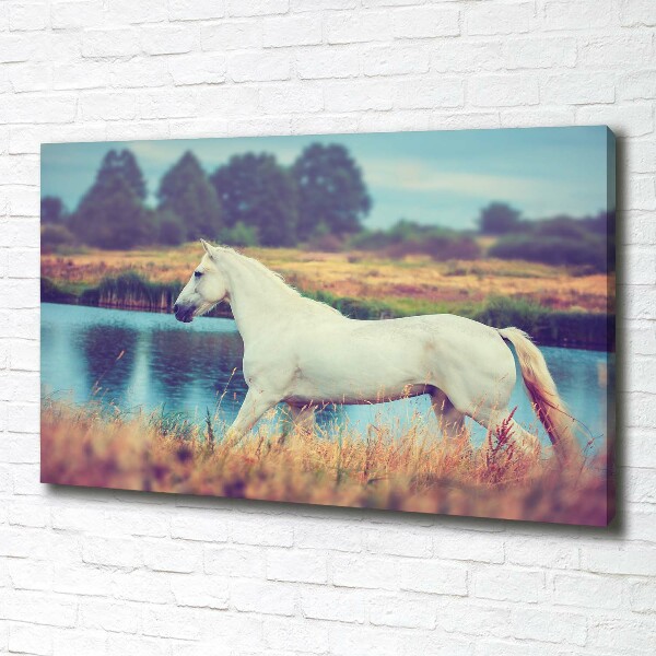 Tablou canvas White Lake Horse