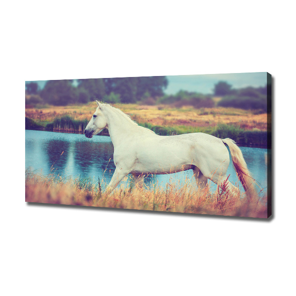 Tablou canvas White Lake Horse