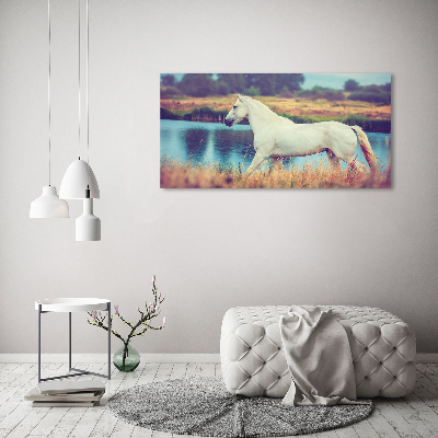 Tablou canvas White Lake Horse