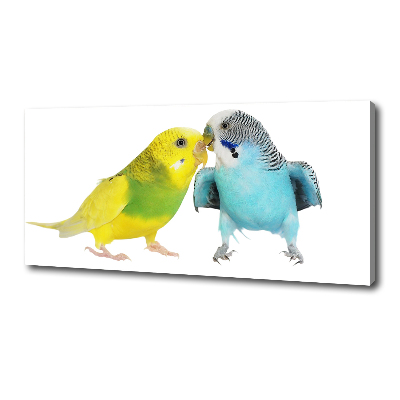 Print pe pânză budgies