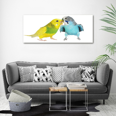 Print pe pânză budgies