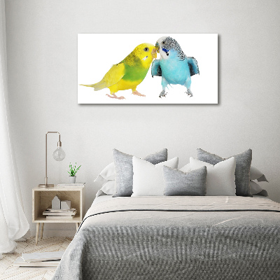 Print pe pânză budgies