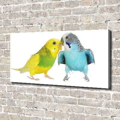 Print pe pânză budgies