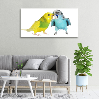 Print pe pânză budgies