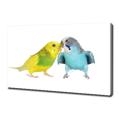 Print pe pânză budgies