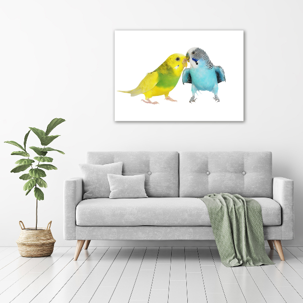 Print pe pânză budgies