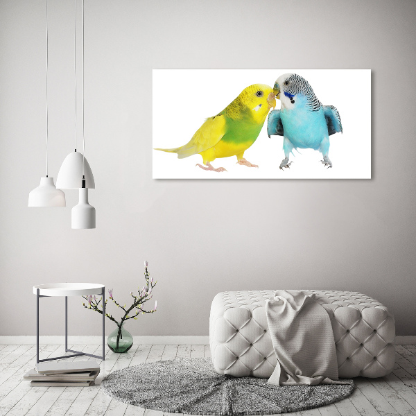 Print pe pânză budgies