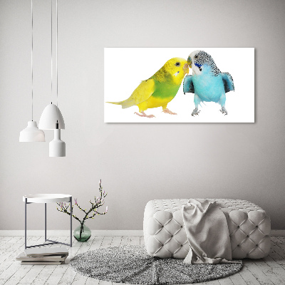 Print pe pânză budgies