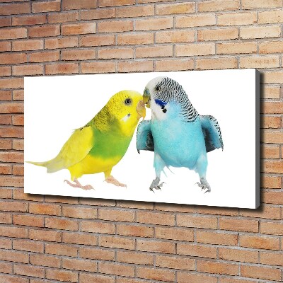 Print pe pânză budgies