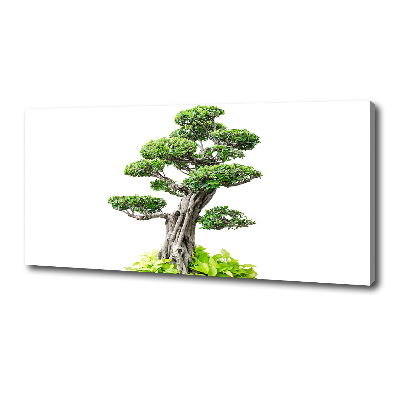 Tablou pe pânză canvas copac bonsai