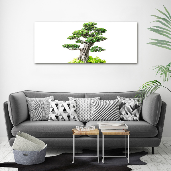 Tablou pe pânză canvas copac bonsai