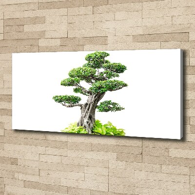 Tablou pe pânză canvas copac bonsai