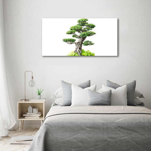 Tablou pe pânză canvas copac bonsai