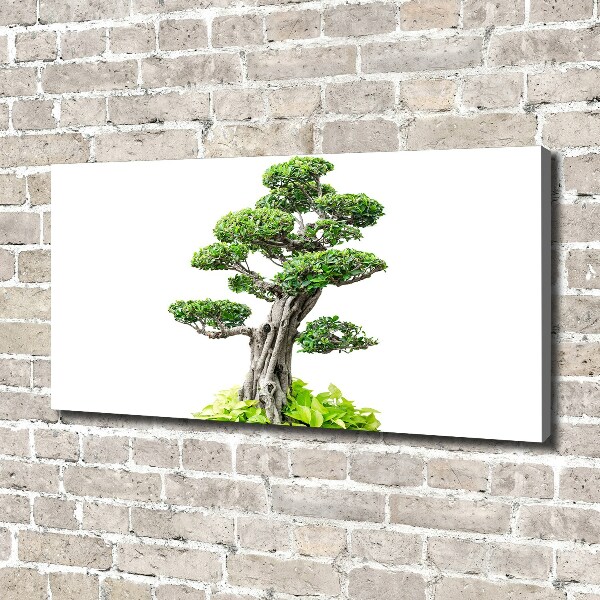 Tablou pe pânză canvas copac bonsai