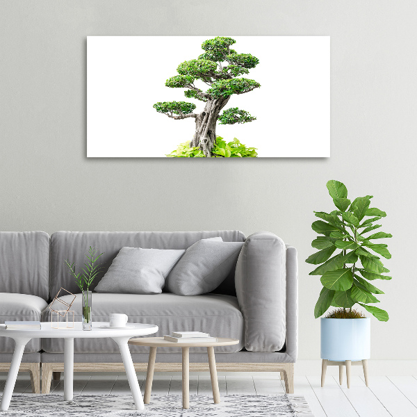 Tablou pe pânză canvas copac bonsai