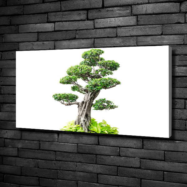 Tablou pe pânză canvas copac bonsai