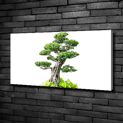 Tablou pe pânză canvas copac bonsai