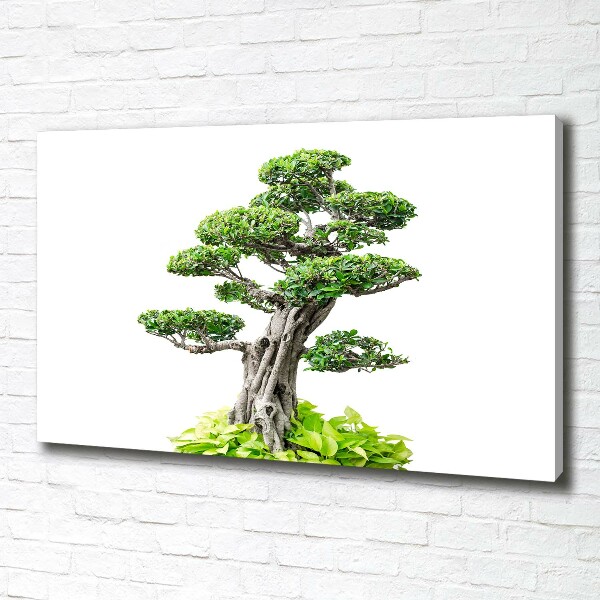 Tablou pe pânză canvas copac bonsai