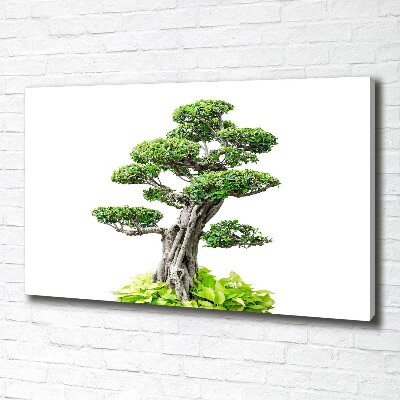 Tablou pe pânză canvas copac bonsai