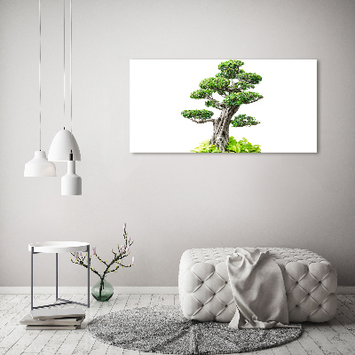 Tablou pe pânză canvas copac bonsai