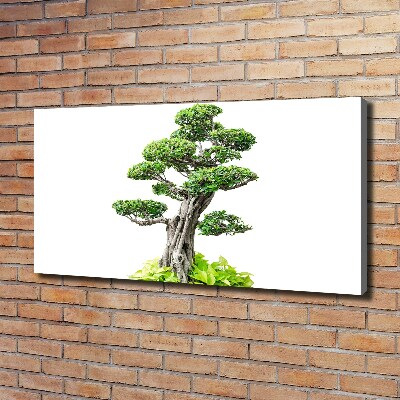 Tablou pe pânză canvas copac bonsai