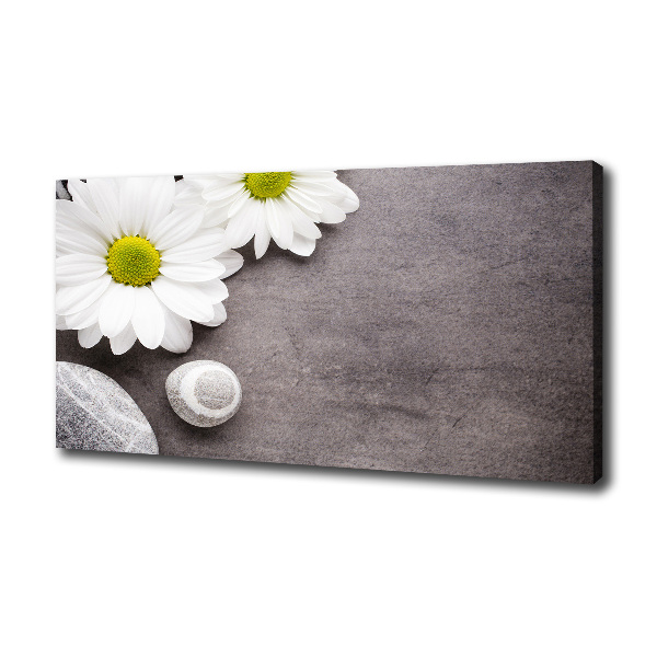 Tablou pe pânză canvas gerbera