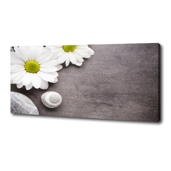 Tablou pe pânză canvas gerbera