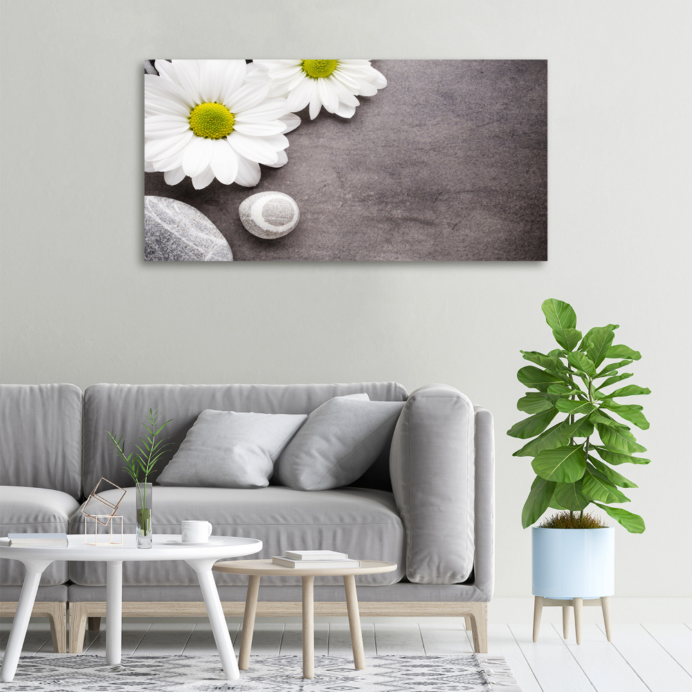 Tablou pe pânză canvas gerbera