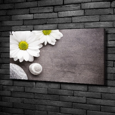 Tablou pe pânză canvas gerbera