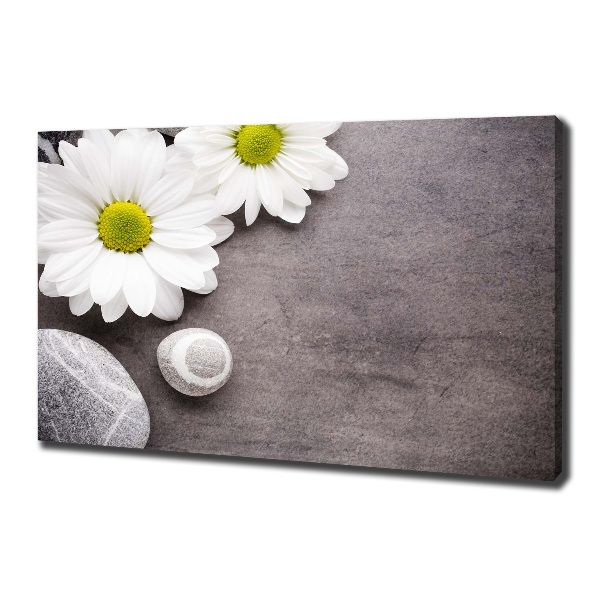 Tablou pe pânză canvas gerbera