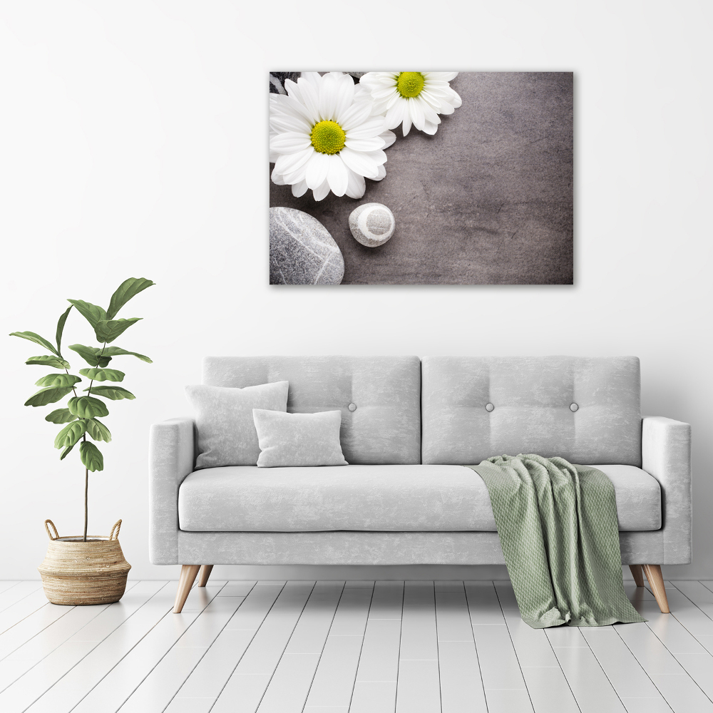 Tablou pe pânză canvas gerbera