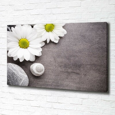 Tablou pe pânză canvas gerbera