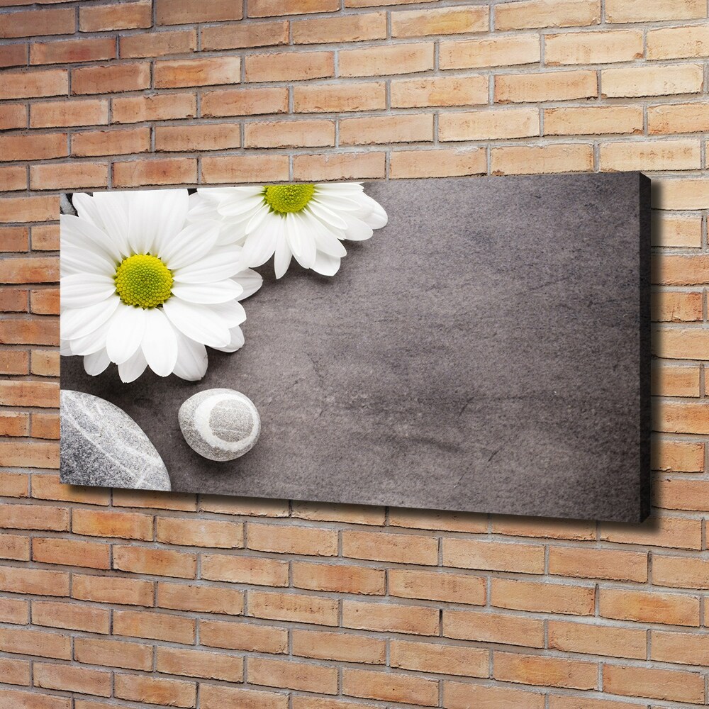 Tablou pe pânză canvas gerbera