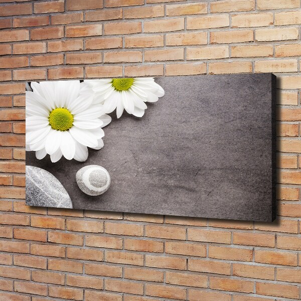 Tablou pe pânză canvas gerbera