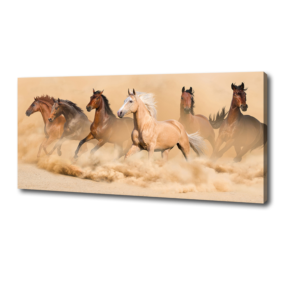 Tablou pe pânză cai deșert