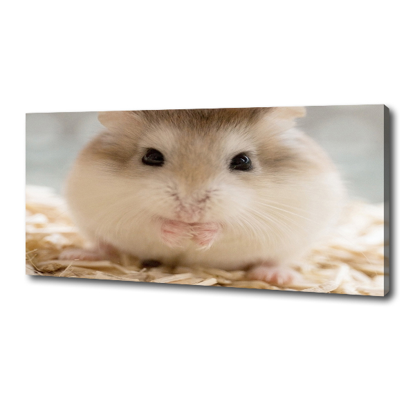 Print pe pânză Hamster