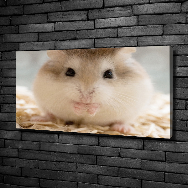 Print pe pânză Hamster