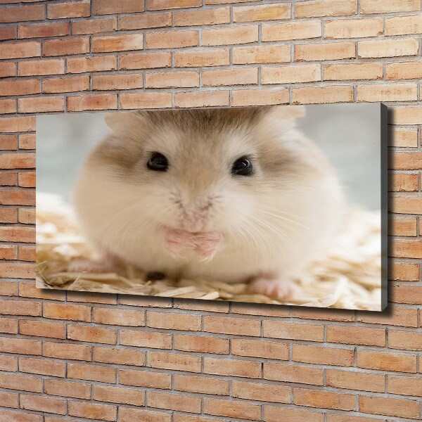 Print pe pânză Hamster